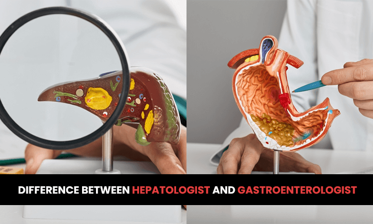What is the difference between an internal medicine doctor and a gastroenterologist?